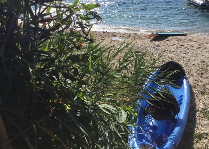 Happy Days Pietrosella